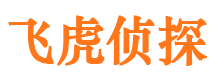 龙安侦探公司